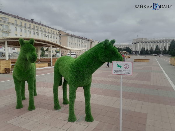 Декоративные фигуры в центре Улан-Удэ снабдили «отпугивающими» табличками
