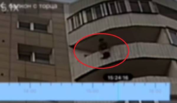 В Улан-Удэ полиция отреагировала на видео с выбрасыванием кота с балкона 
