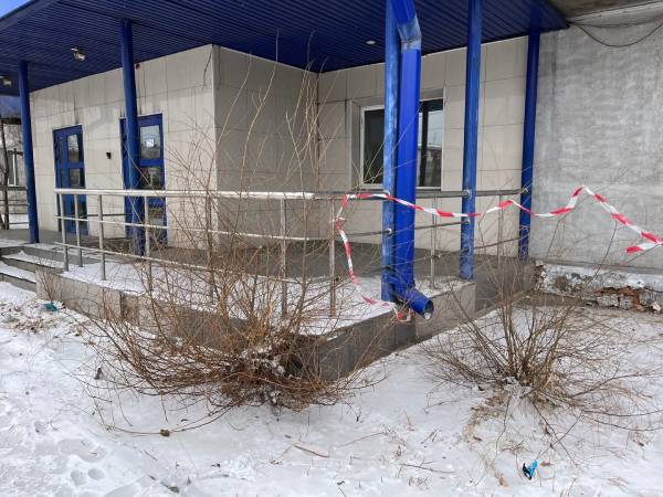 Улан-удэнским чиновникам не понравились граффити и подрезка деревьев на улицах