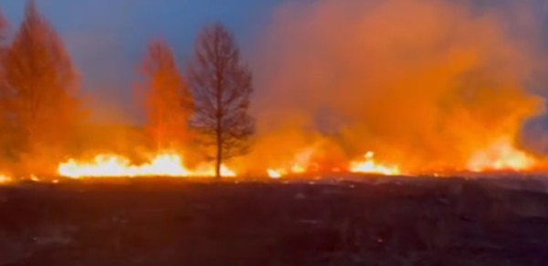 За сутки в Бурятии возникло пять лесных пожаров  