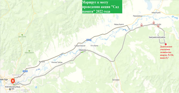 В Заиграевском районе Бурятии высадят 40 тысяч сосен
