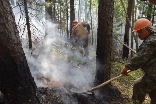 В Бурятии за сутки потушили 20 лесных пожаров
