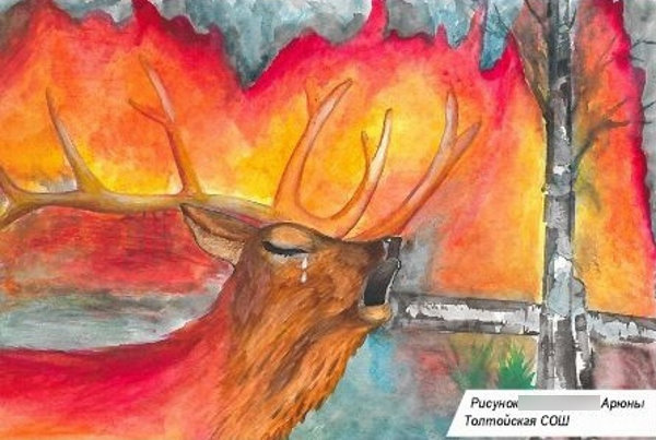 В Бурятии стартовал конкурс рисунков «Остановим лесные пожары!»