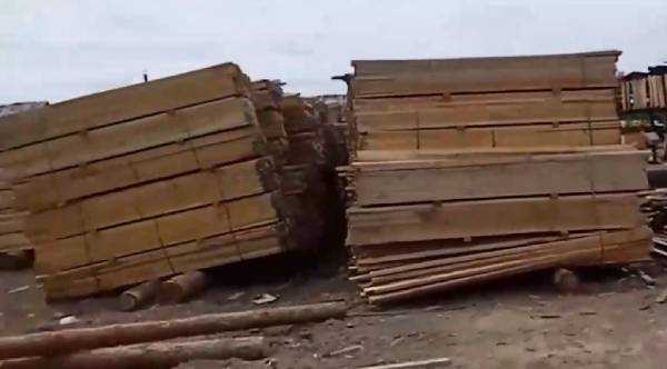 В Иркутской области вынесли приговор за контрабанду леса на 55 млн рублей 