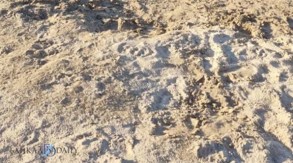 Пляж в Чите закроют из-за отсутствия отдыхающих