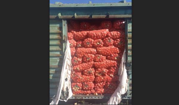 В Бурятии выявили нарушения при ввозе 406 тонн арбузов и репчатого лука
