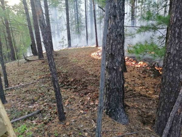 В Заиграевском районе Бурятии тушат лесной пожар