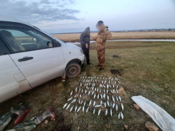 В Забайкалье у рыбаков изъяли свыше 1500 рыб в период нереста 