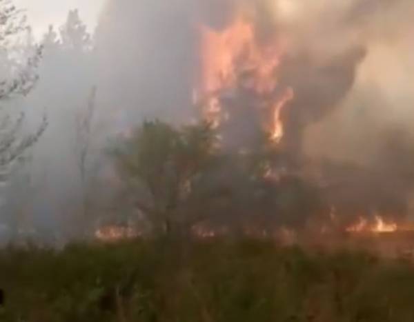 В Бурятии хвалят группировку, сражающуюся с лесными пожарами