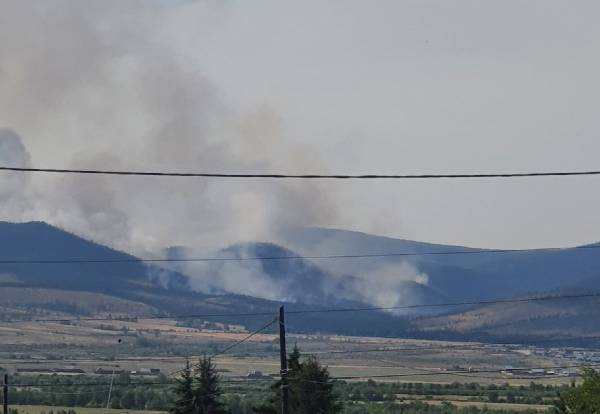 С лесными пожарами в Бурятии сражались более 900 человек 