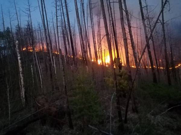 В Бурятии локализовали сложный пожар на вершине горы 