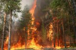 В Бурятии жаркая погода осложнила лесопожарную обстановку