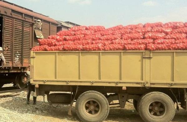 В Улан-Удэ бизнесмен «забыл» о двух вагонах с луком 