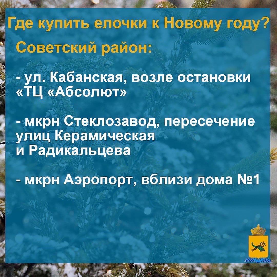 В Улан-Удэ открываются ёлочные базары | Байкал Daily - Новости Бурятии и  Улан-Удэ в реальном времени