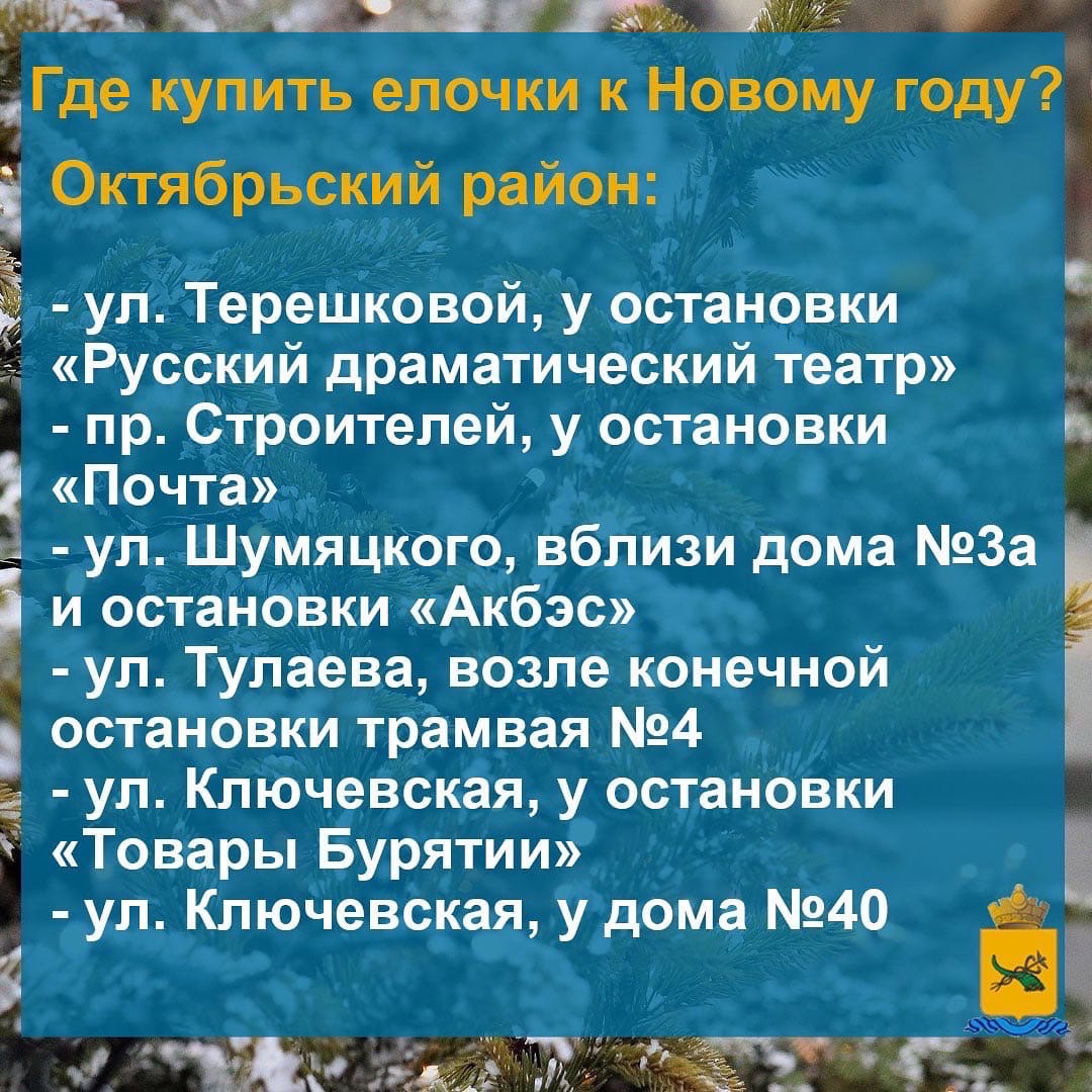 В Улан-Удэ открываются ёлочные базары | Байкал Daily - Новости Бурятии и  Улан-Удэ в реальном времени