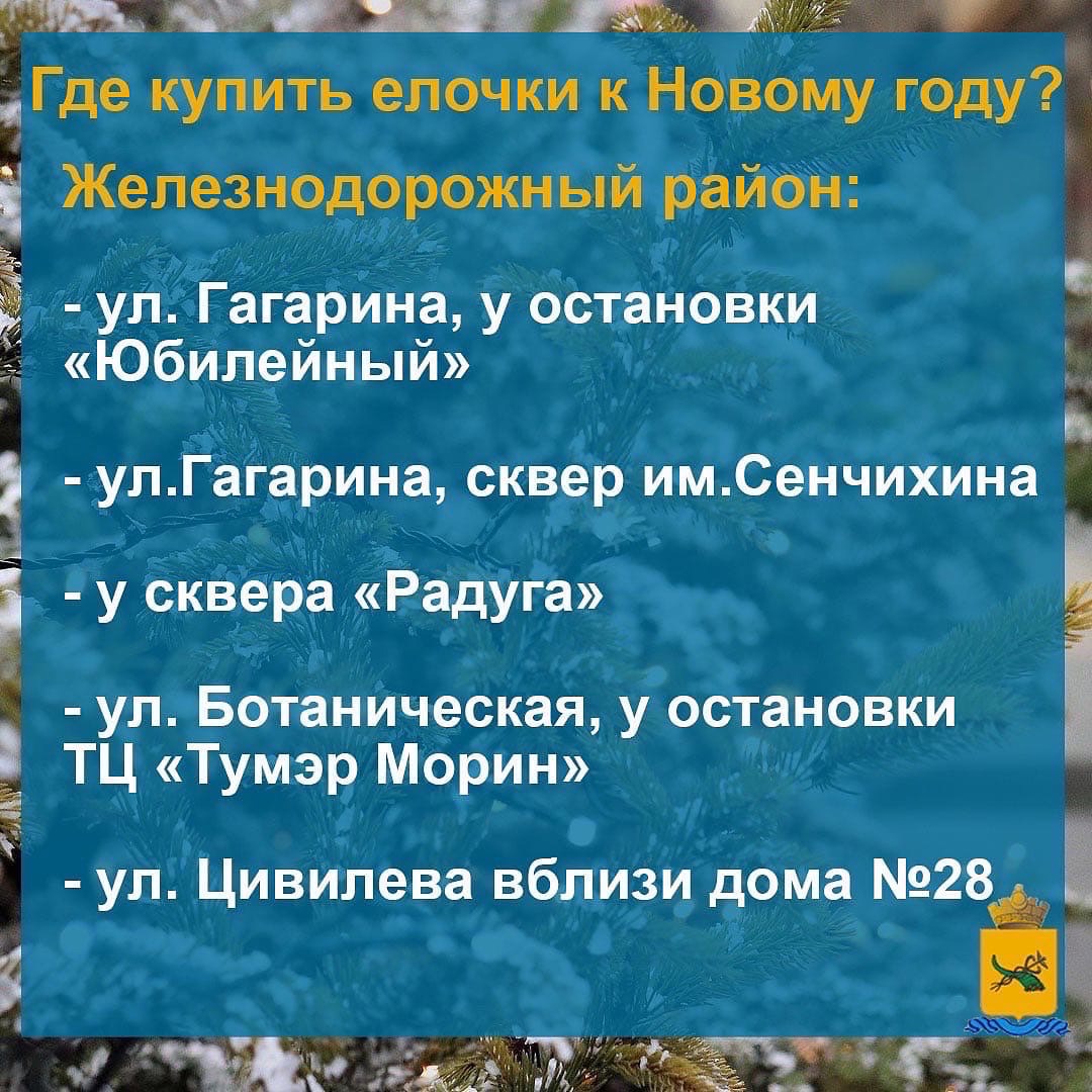 В Улан-Удэ открываются ёлочные базары | Байкал Daily - Новости Бурятии и  Улан-Удэ в реальном времени