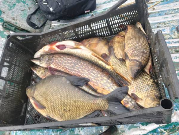В Бурятии рыбак попал под «уголовку» за девять рыб 