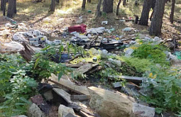 Лесники Бурятии убрали более 20 кубов мусора