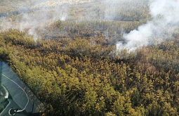 В Бурятии потушили лесной пожар