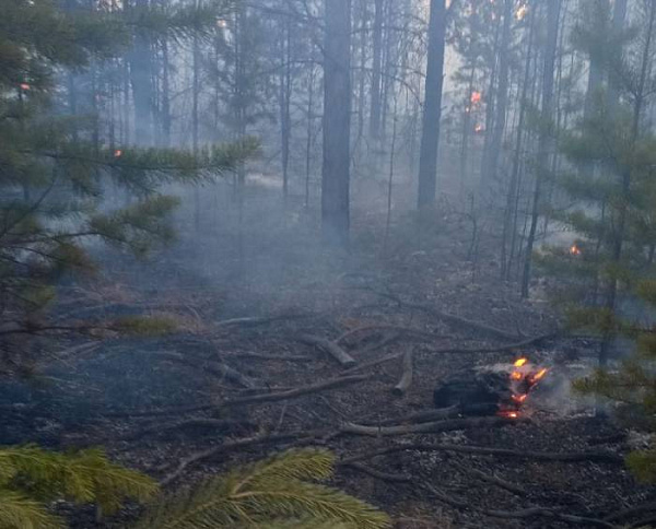 В Бурятии за сутки возникло 16 лесных пожаров 