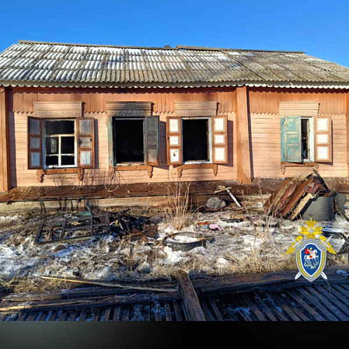 В Забайкалье двое маленьких детей погибли на пожаре 
