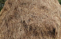В Бурятии поджигатели уничтожили 91 тонну сена 