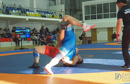 Бурятские борцы завоевали золотые медали на всероссийском турнире в Улан-Удэ