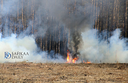 В Бурятии накануне тушили один лесной пожар 
