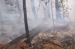 В Бурятии потушили три лесных пожара 