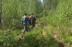 В Иркутской области нашли заблудившихся в лесу женщину с ребёнком 