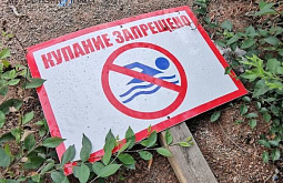 В Иркутской области выявили повреждённые знаки «Купаться запрещено»