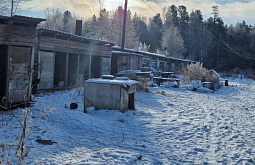 Под Иркутском на заброшенной ферме обнаружили трупы животных 