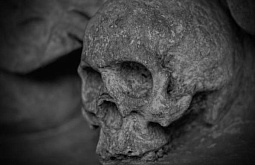 В Улан-Удэ рабочие откопали человеческий череп