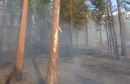 В Бурятии потушили шесть лесных пожаров