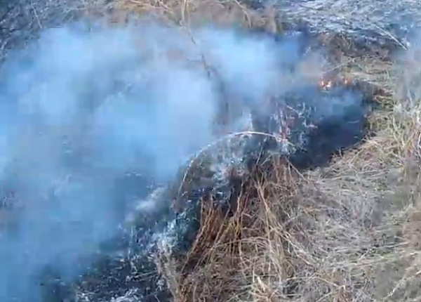 Пожары в муйском районе. Северомуйск пожар. Северомуйск пожар в поселке.