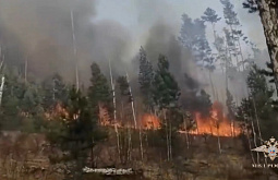 В Иркутской области виновников лесного пожара вычислили по следам обуви и шин 