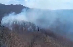 В Бурятии действует сложный лесной пожар на горе 