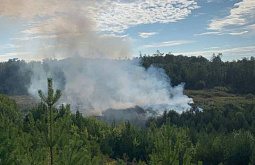 В Бурятии огонь с нелегальной свалки перекинулся на лес 