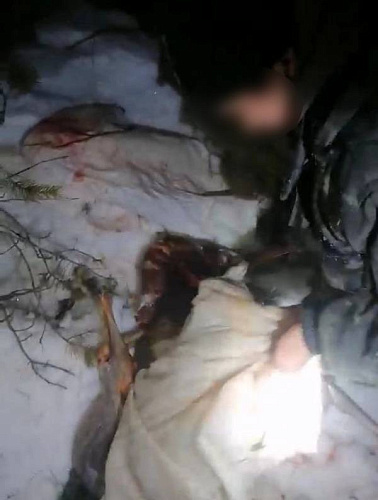 В нацпарке в Бурятии поймали браконьеров, убивших косуль 