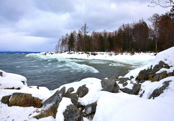 Жизнь в космосе