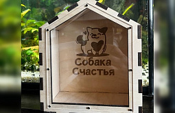 У фонда помощи животным из Улан-Удэ появились ящики для пожертвований 
