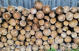Жителям Бурятии посоветовали запастись дровами заранее